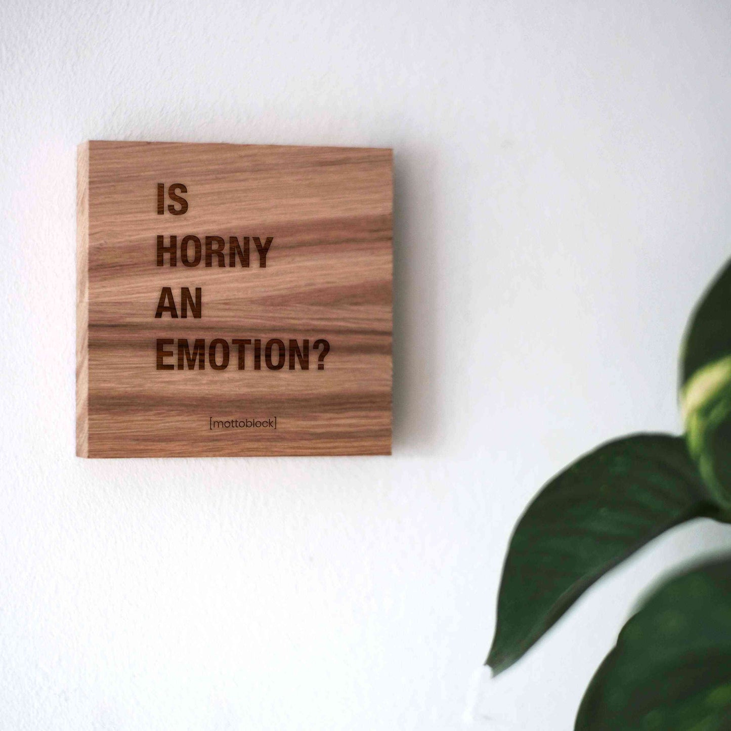 mottoblock | Horny an Emotion?